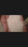 100_ Broken Rice White _Price is CNF ASWP_ _ KOSASIH